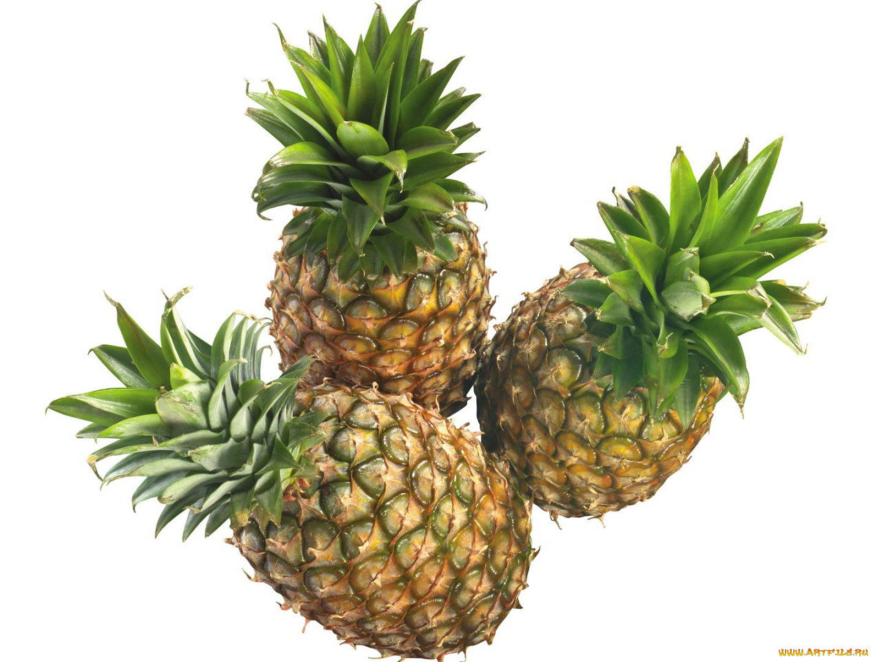 , 